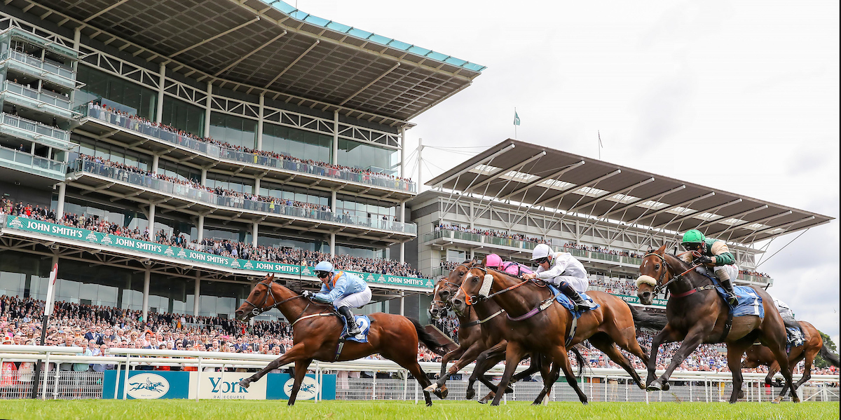 Copper Knight Listed York 13th July 2019